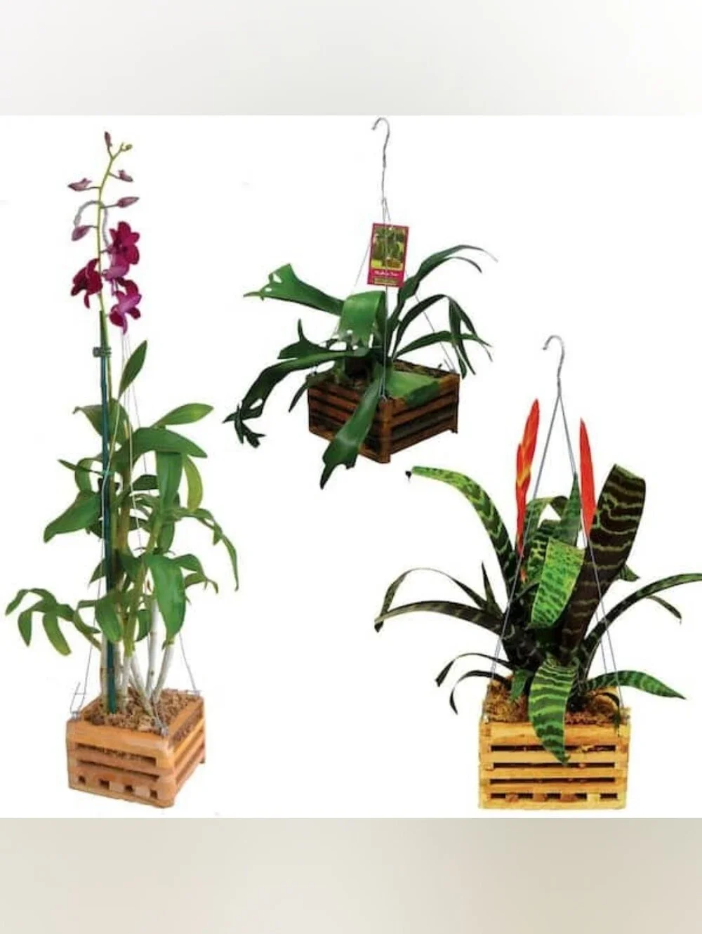 NWT Better-Gro 6 in. Square Hanging Wooden Basket Planter